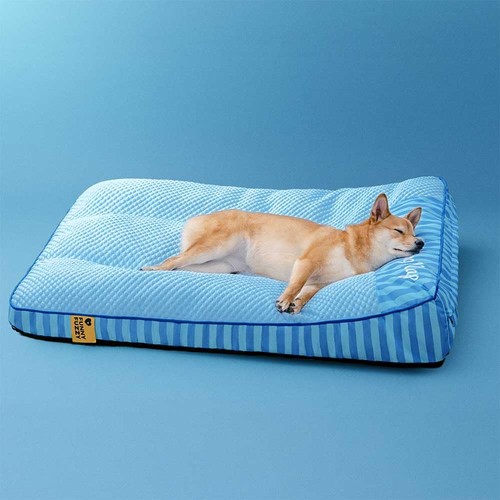 Cooling orthopedic dog bed - dog,