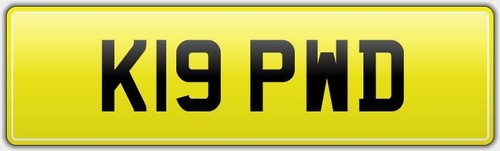 Portuguese water dog car - portuguese,