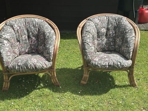 Cane conservatory chairs - cane,
