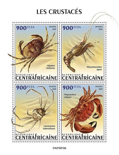 Crabs crustaceans sea marine - &,