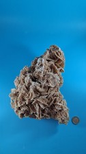 Desert Rose Tunisia North