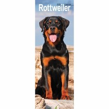 Rottweiler Slim Calendar 2026 - Dogs - Month To View