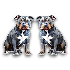 2x Small American XL Bully