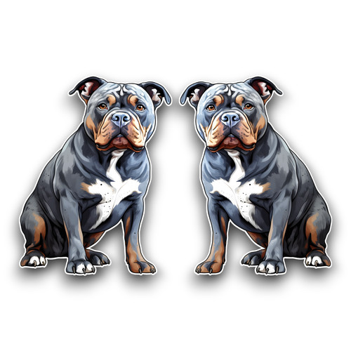 Small american bully - 2x,