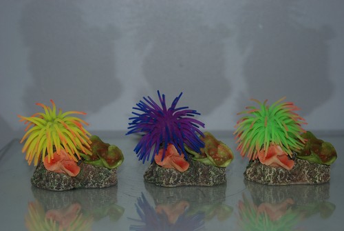 Aquarium coral rock - 3, &