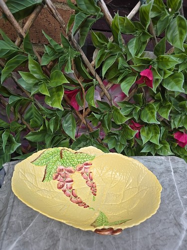 Vintage carlton ware - vintage,