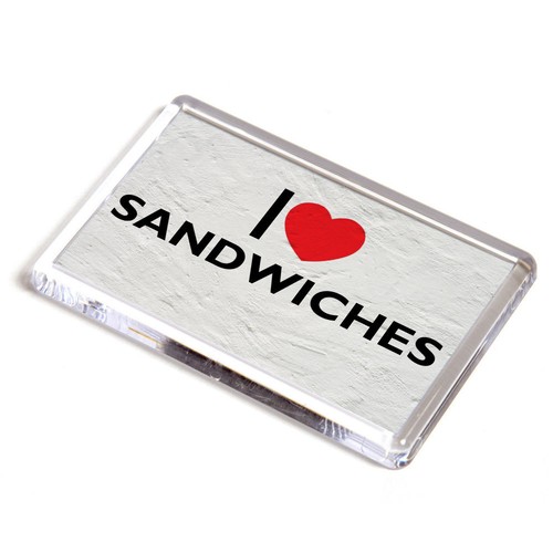 Fridge magnet i - fridge,