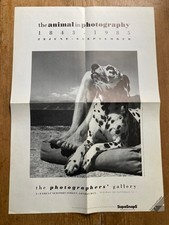 Animal in Photography 1843 -