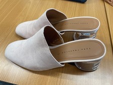 Zara Trafaluc Mules with Clear