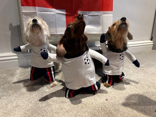 Dog costume football - m&s,