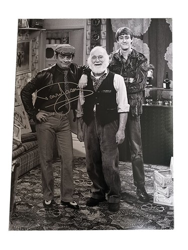 Only fools and horses david - fools,
