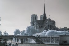 Infrared IR720nm converted