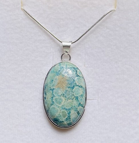 Stunning fossil coral oval - stunning,