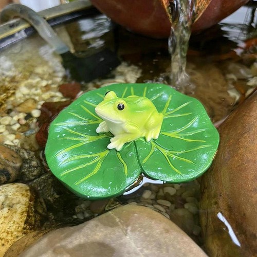 Frog perched lotus leaf - frog,