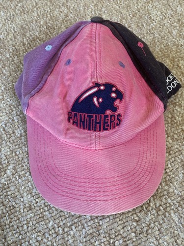Middlesex panthers cricket - middlesex,