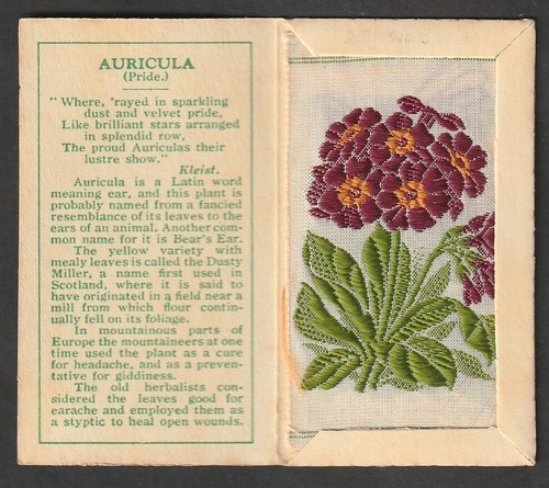 Kensitas wix tobacco small 2nd - kensitas,