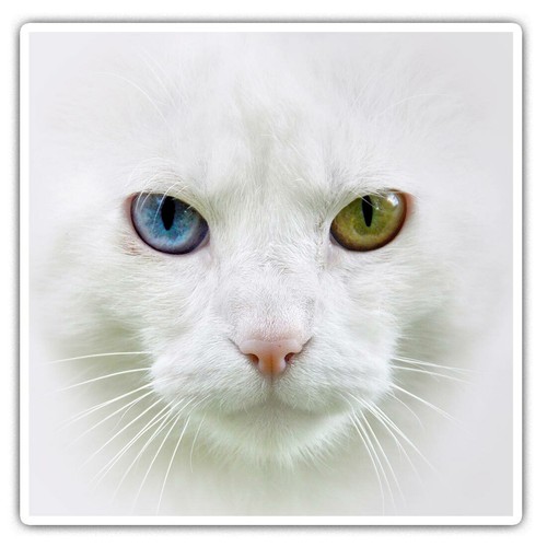 Square stickers cm - square,