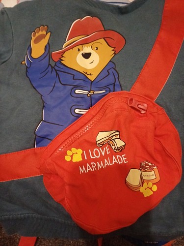 Paddington bear bag - paddington,