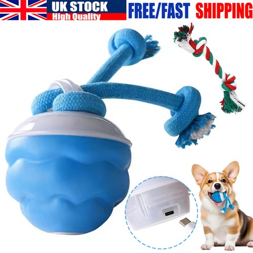 The dog puppy ball boredom - puppy,