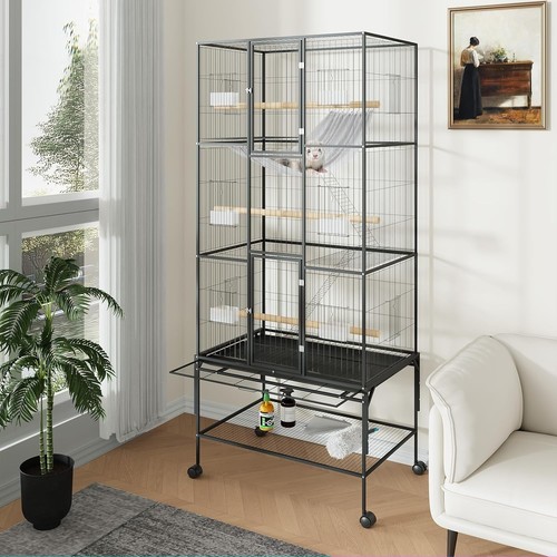 Large bird cage parrot - bird,