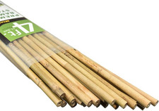 25 Pack Natural Bamboo Poles