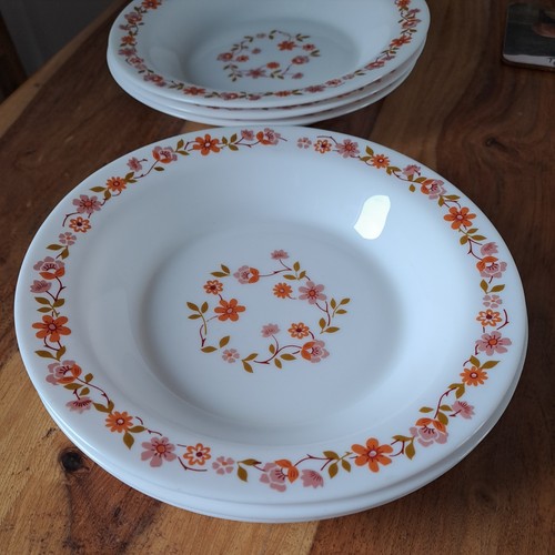 Arcopal scania soup - scania, bowls