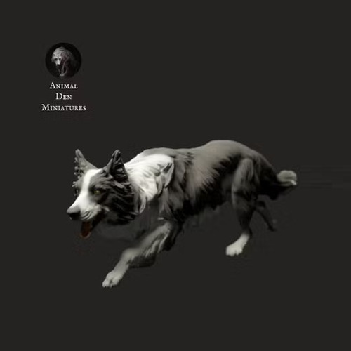 Border collie dog sneaks 3d - border, |