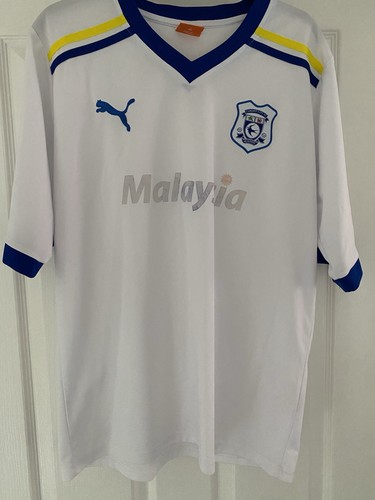 Cardiff city 2010 - city, 2010-11