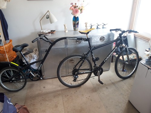 Ridgeback mx2 and ditto - and,