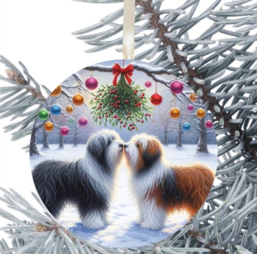 Bearded collie dog - bearded, hanging