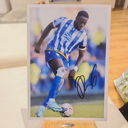 Dominic iorfa sheffield - dominic,