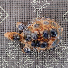 WADE Tortoise Trinket Box And