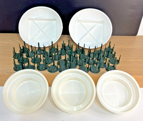 Floral oasis white - oasis, dishes