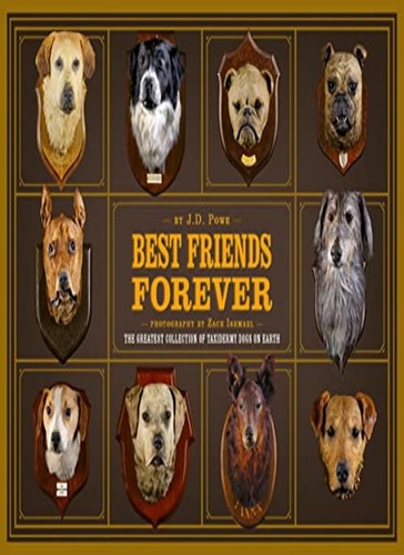 Best friends forever the - forever:,