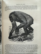 1874 New Illustrated Natural