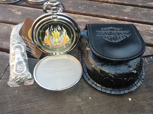 Harley davidson wings glory - wings,