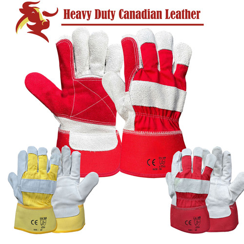 Canadian double palm - canadian,