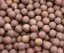 Shelflife Boilies 900g 15mm All flavours Carp/Barbel Fishing Session Baits UK