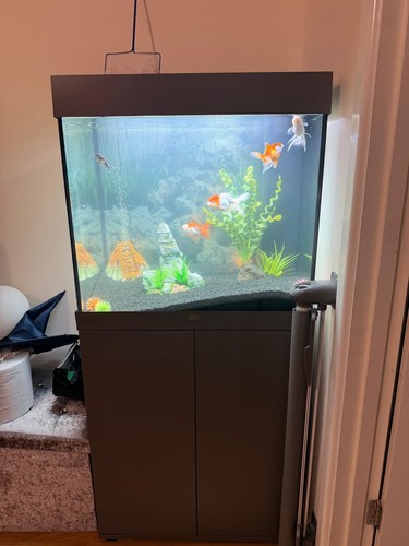 Juwel fish tank with - with, stand