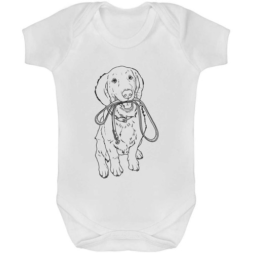 Golden retriever lead baby - retriever, lead'