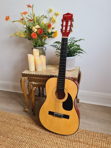 Burswood acoustic guitar - acoustic, 6
