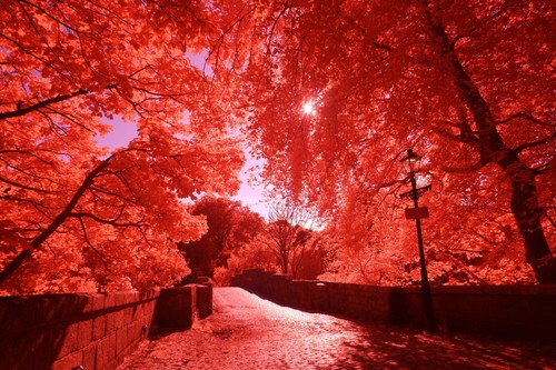Aerochrome chrome 55mm - ir-chrome,