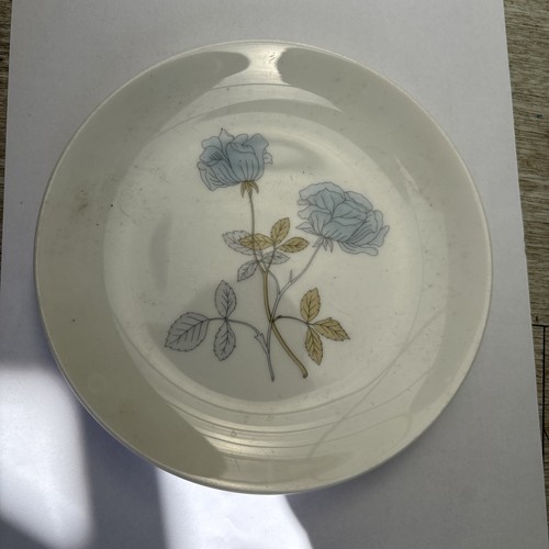 Wedgewood ice rose - wedgewood’ice, rose’