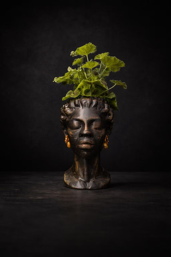 Woman head planter cast - head, stone
