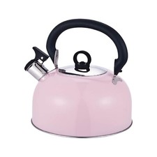 Stainless Steel Whistling