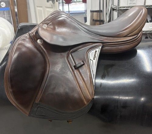Equiline closer jumping - equiline,