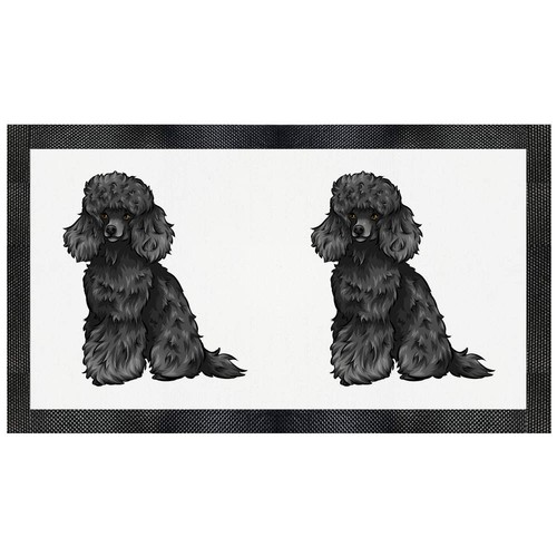 Black toy poodle - 'black, pet
