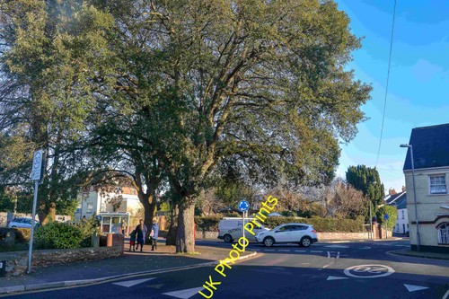 Photo exmouth withycombe - a1,