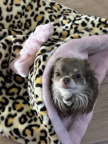 Luxury snuggle sack - sack, handmade
