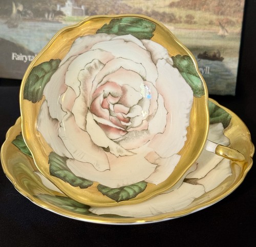 Rare paragon cabbage tea rose - rare,